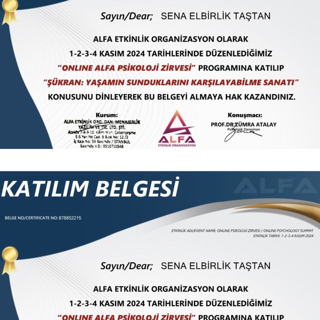 Resmi büyüt: certificate 12