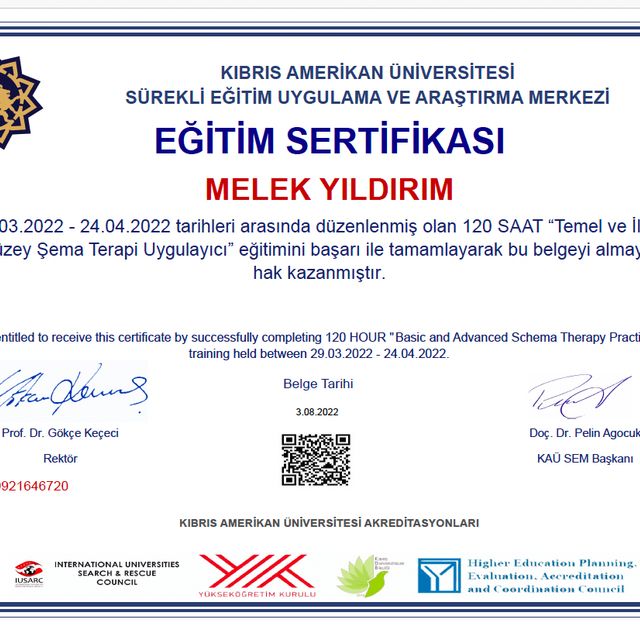 Resmi büyüt: certificate 4