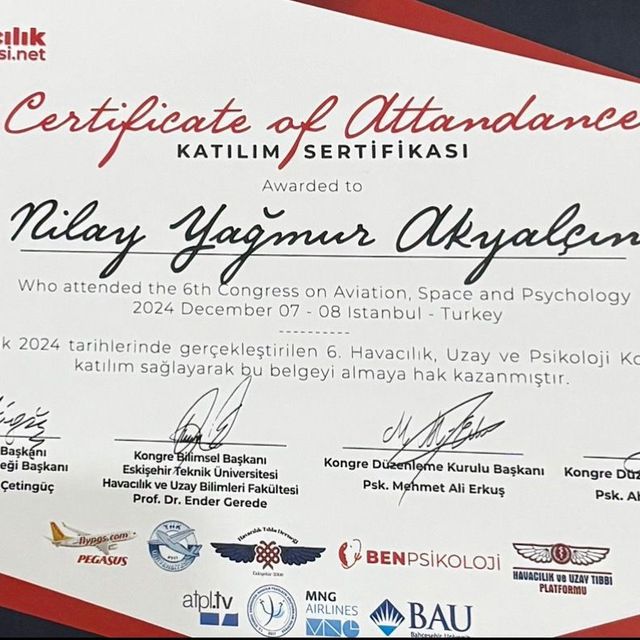 Resmi büyüt: certificate 9
