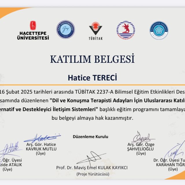 Resmi büyüt: certificate 42