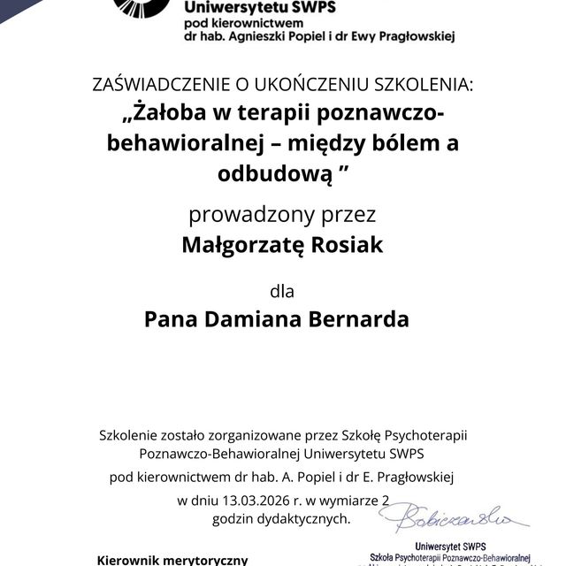 Powiększ obraz: certificate 42
