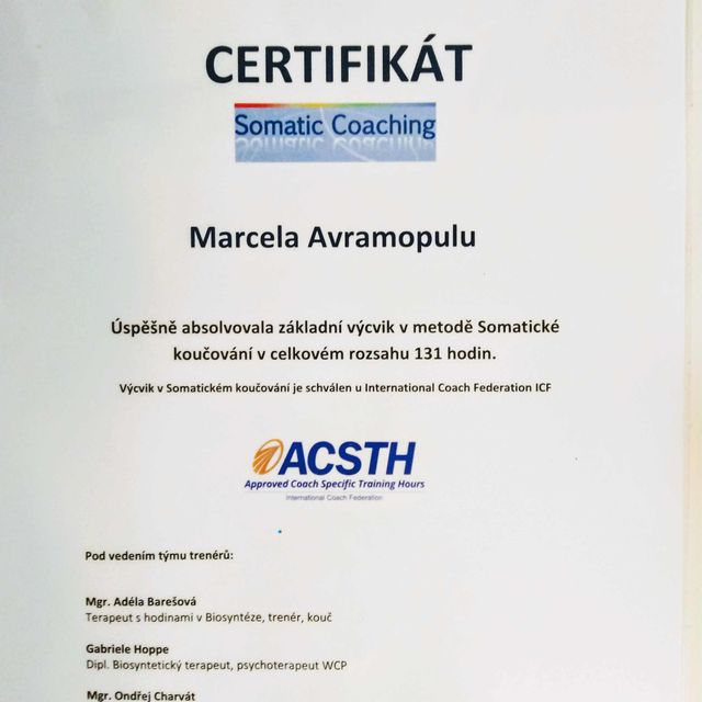 Zvětšit obrázek: certificate 2