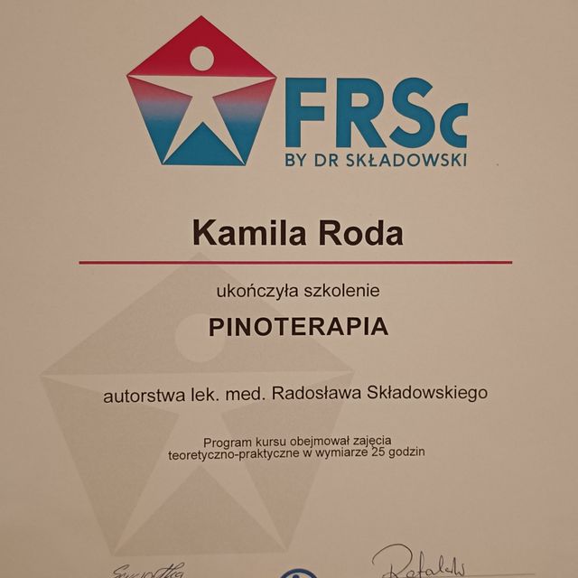 Powiększ obraz: certificate 6