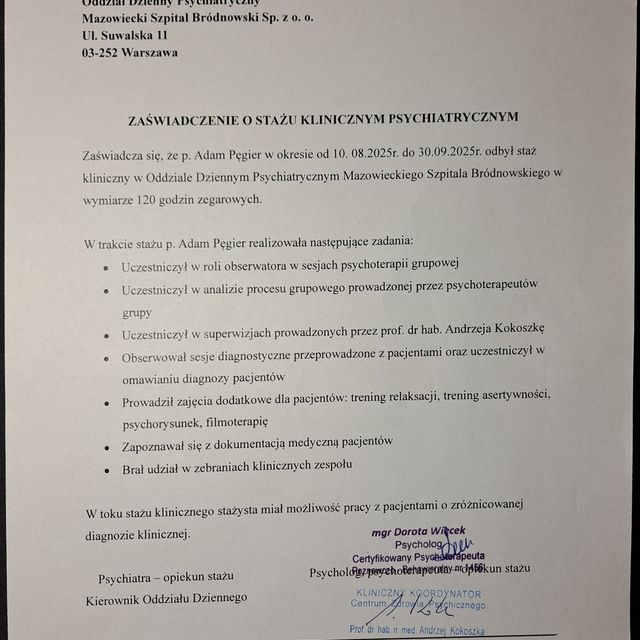 Powiększ obraz: certificate 3