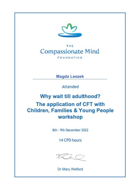 Powiększ obraz: certificate 9