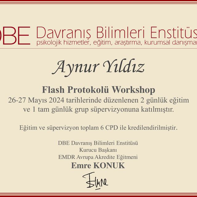 Resmi büyüt: certificate 42