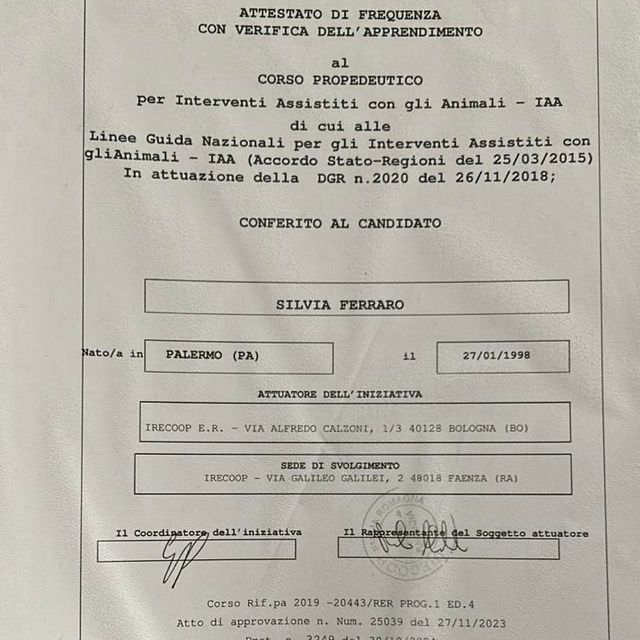 Ingrandire l'immagine: certificate 31