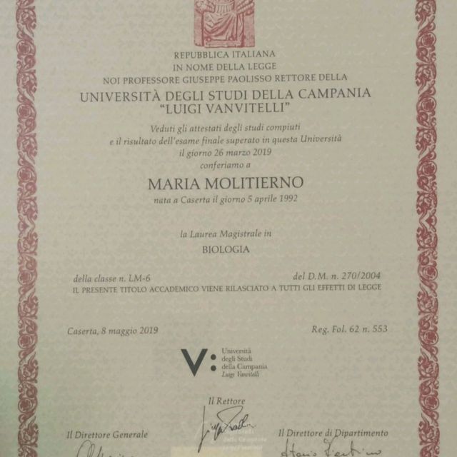 Ingrandire l'immagine: certificate 2