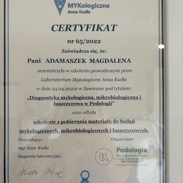 Powiększ obraz: certificate 7