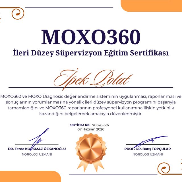 Resmi büyüt: certificate 3