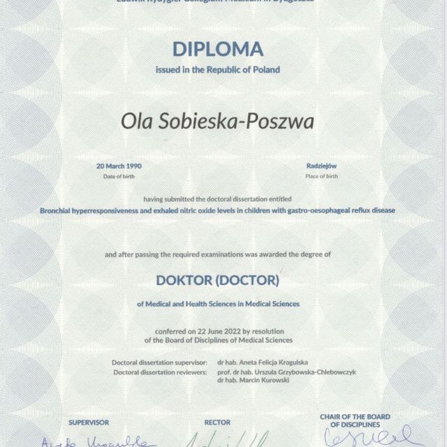 Powiększ obraz: certificate 3