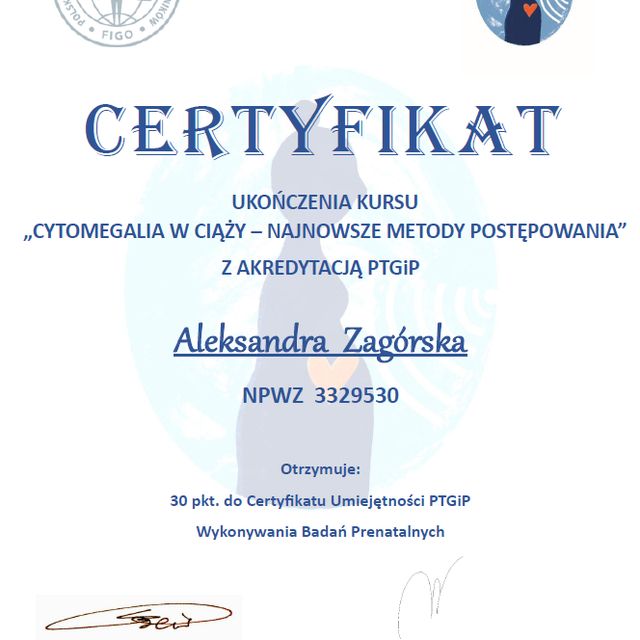 Powiększ obraz: certificate 4