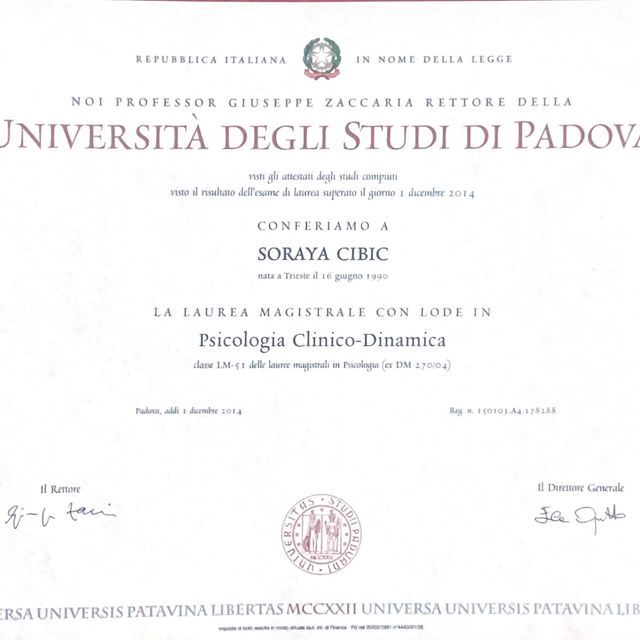 Ingrandire l'immagine: certificate 1