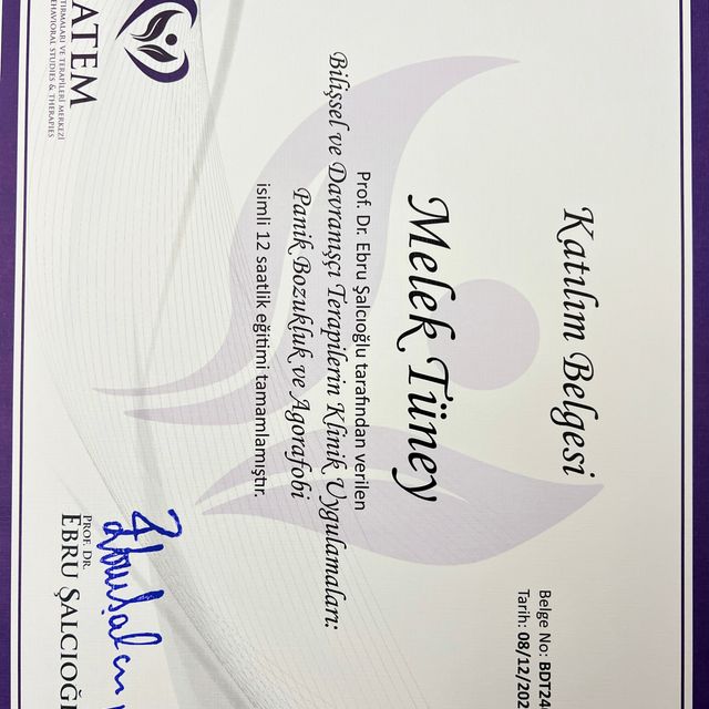 Resmi büyüt: certificate 2