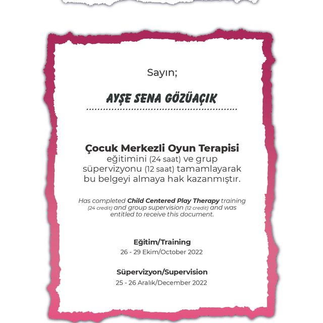 Resmi büyüt: certificate 1