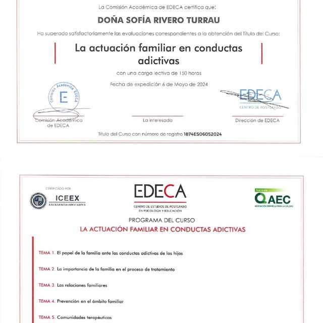 Acercar imagen: certificate 5