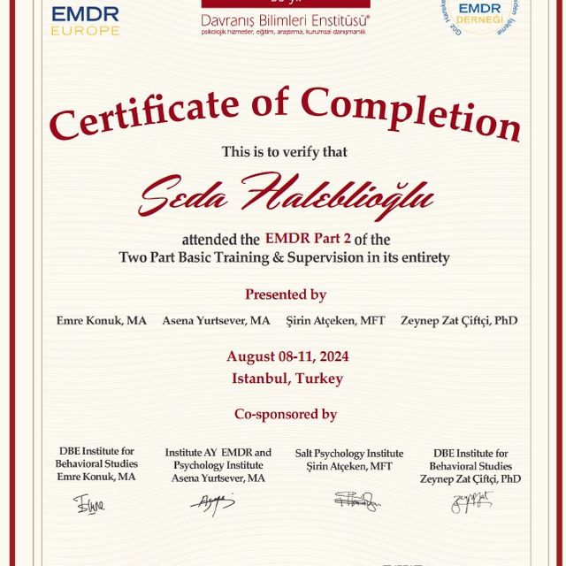 Resmi büyüt: certificate 2