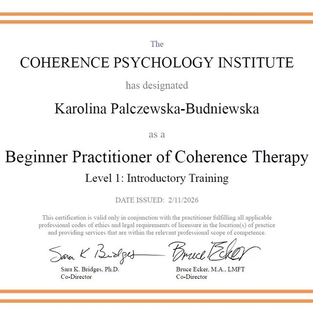 Powiększ obraz: certificate 7