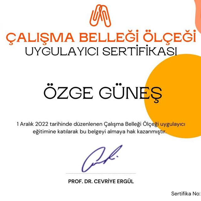 Resmi büyüt: certificate 3