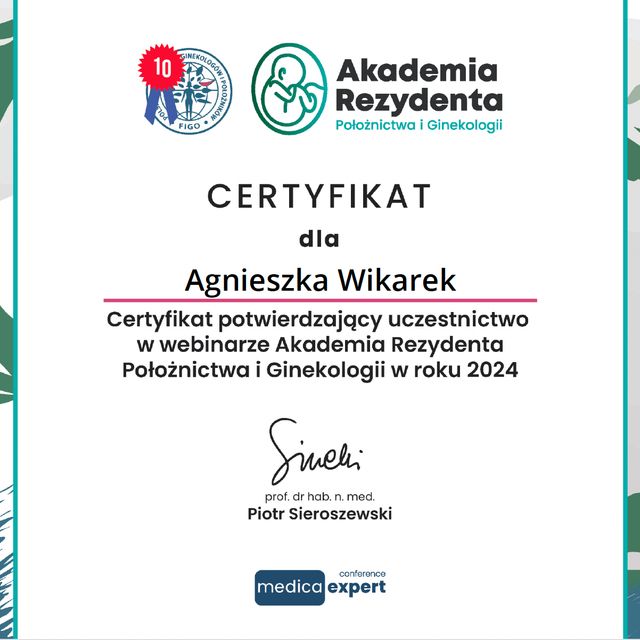 Powiększ obraz: certificate 11