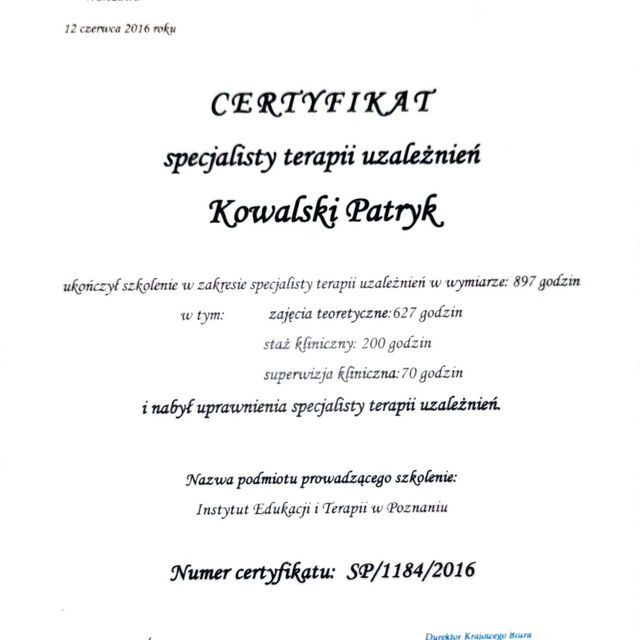 Powiększ obraz: certificate 1