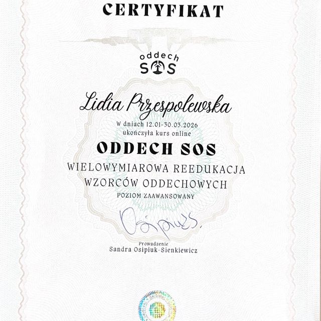 Powiększ obraz: certificate 1