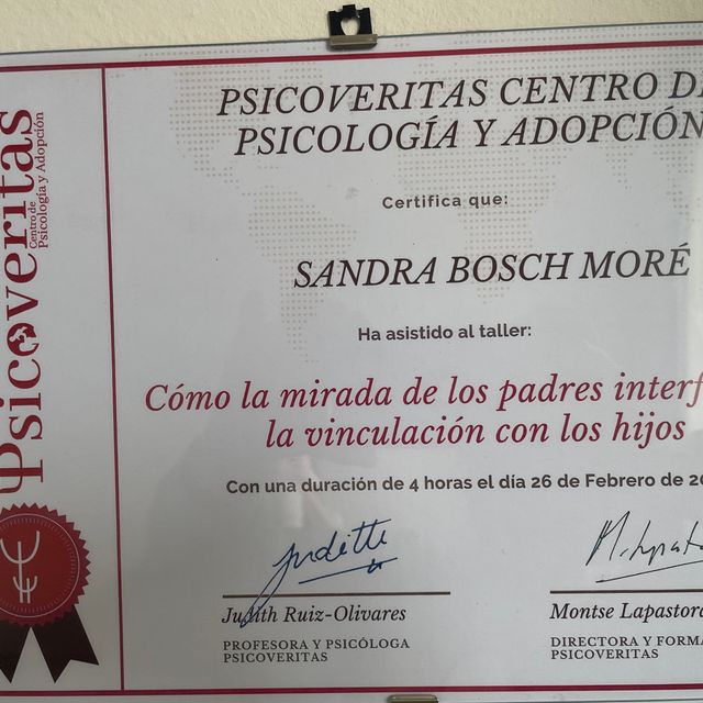Acercar imagen: certificate 6