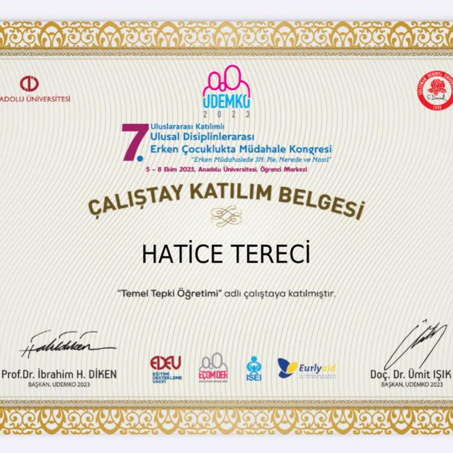 Resmi büyüt: certificate 10