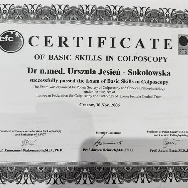 Powiększ obraz: certificate 2