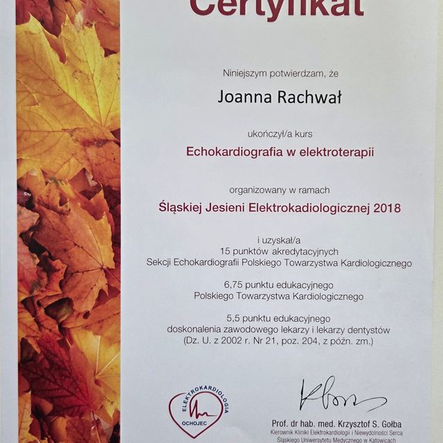 Powiększ obraz: certificate 5