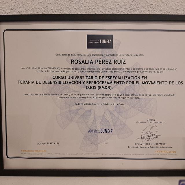 Acercar imagen: certificate 9