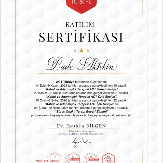Resmi büyüt: certificate 3