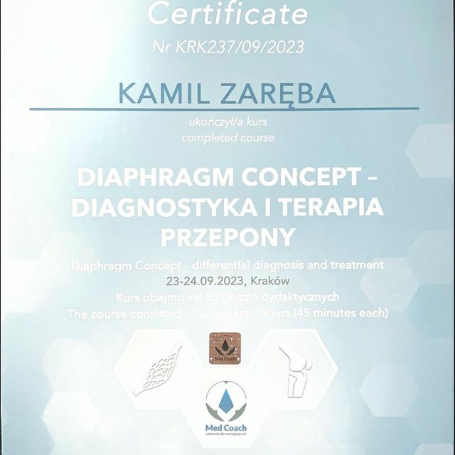 Powiększ obraz: certificate 1