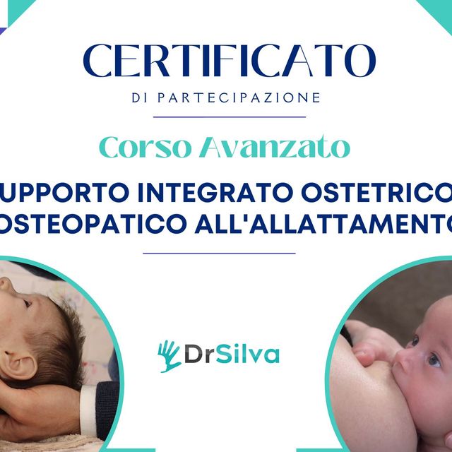 Ingrandire l'immagine: certificate 6