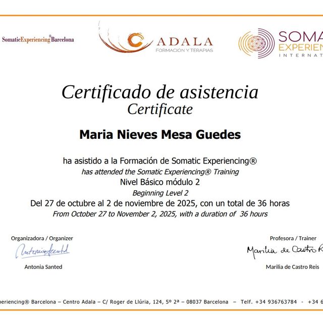 Acercar imagen: certificate 2