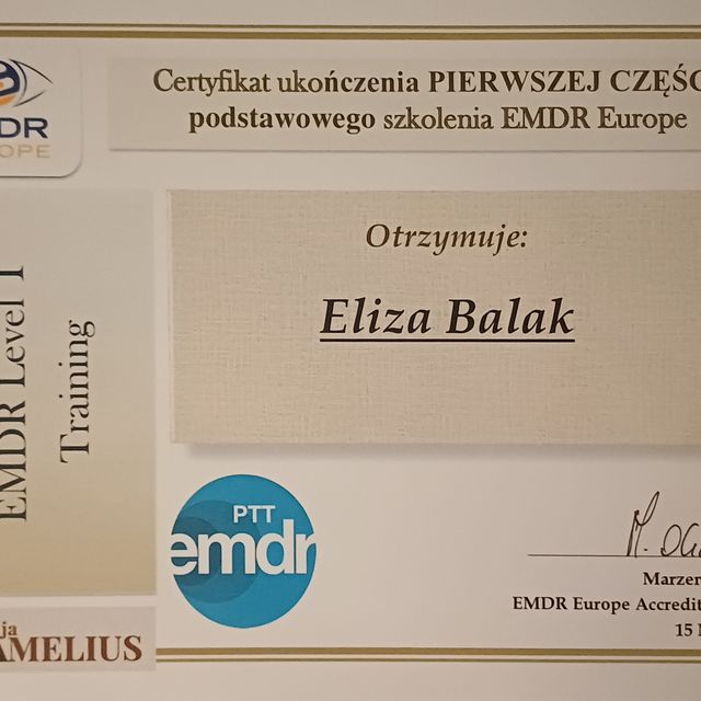 Powiększ obraz: certificate 1