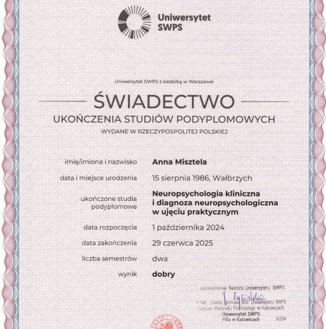 Powiększ obraz: certificate 1
