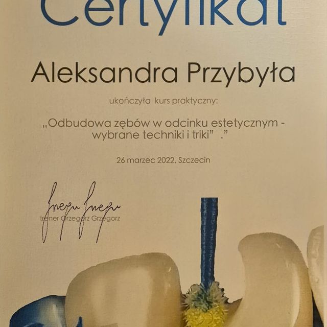 Powiększ obraz: certificate 1