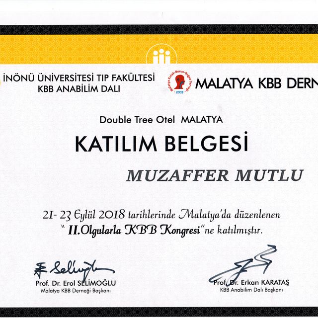 Resmi büyüt: certificate 14