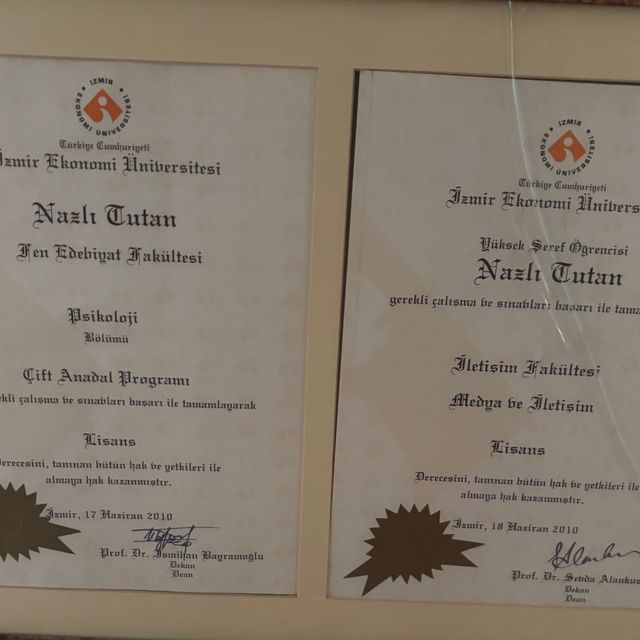 Resmi büyüt: certificate 8