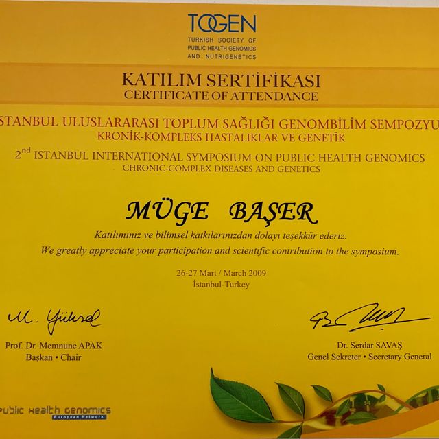Resmi büyüt: certificate 3