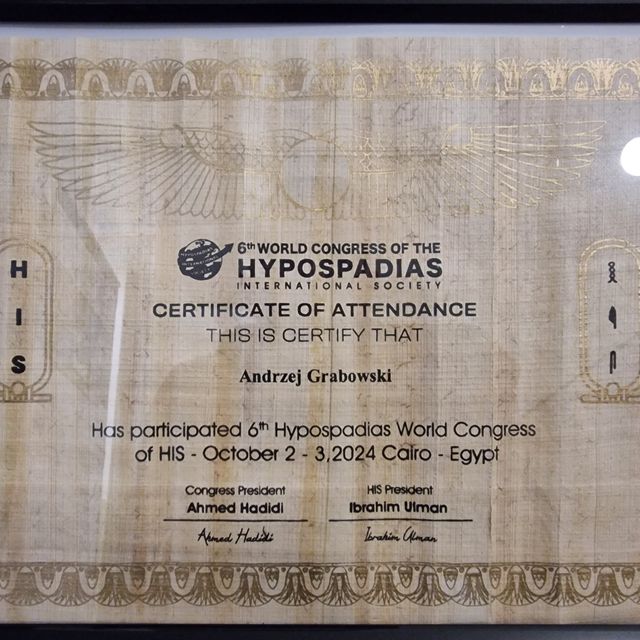 Powiększ obraz: certificate 2