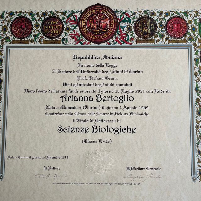 Ingrandire l'immagine: certificate 2