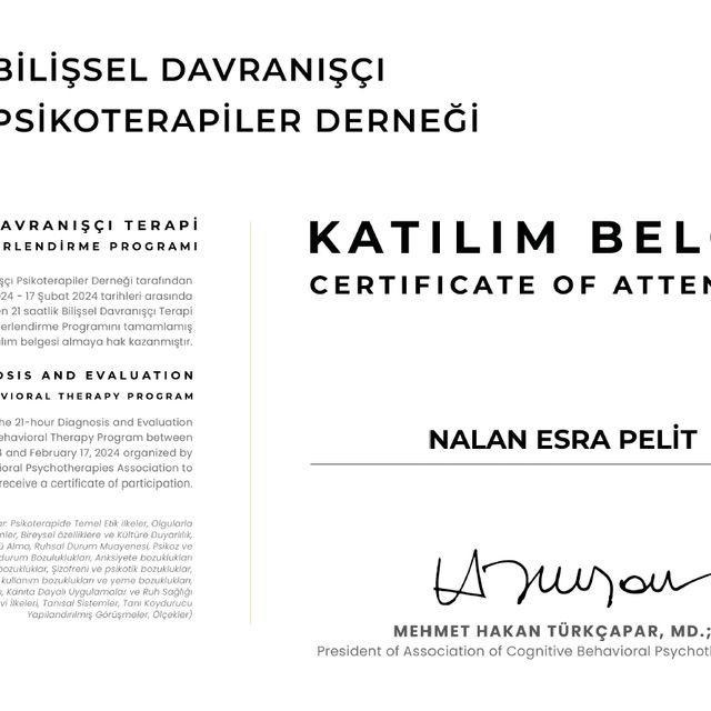 Resmi büyüt: certificate 1
