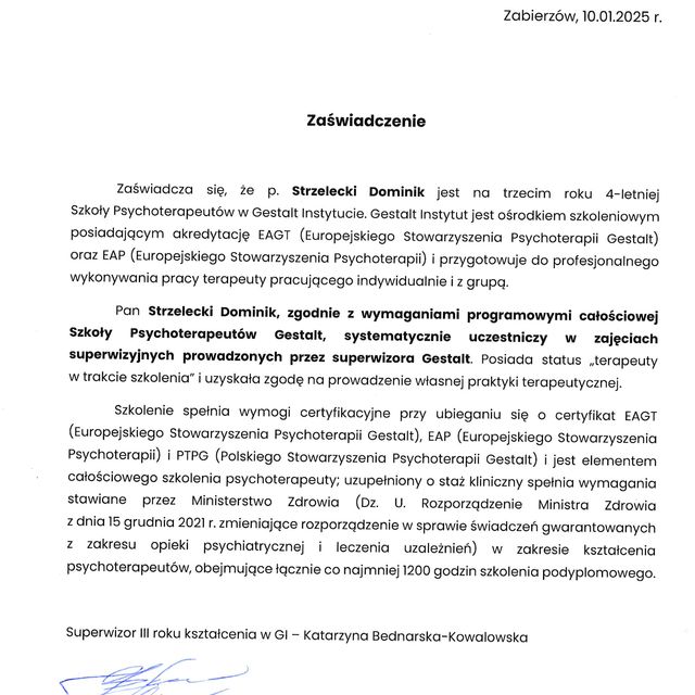 Powiększ obraz: certificate 1