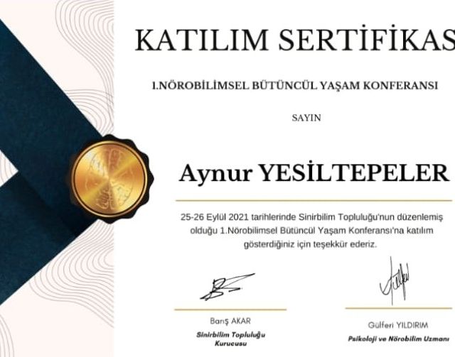 Resmi büyüt: certificate 2