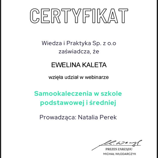 Powiększ obraz: certificate 9
