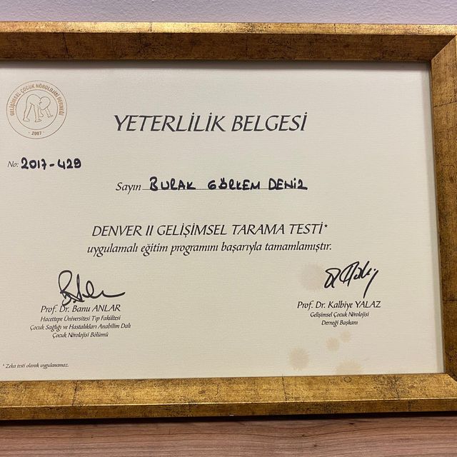 Resmi büyüt: certificate 3