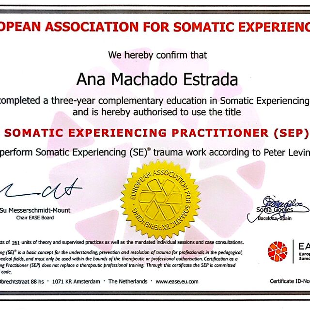 Acercar imagen: certificate 1