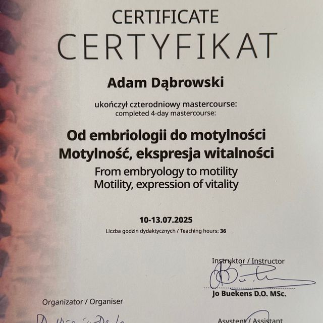 Powiększ obraz: certificate 2